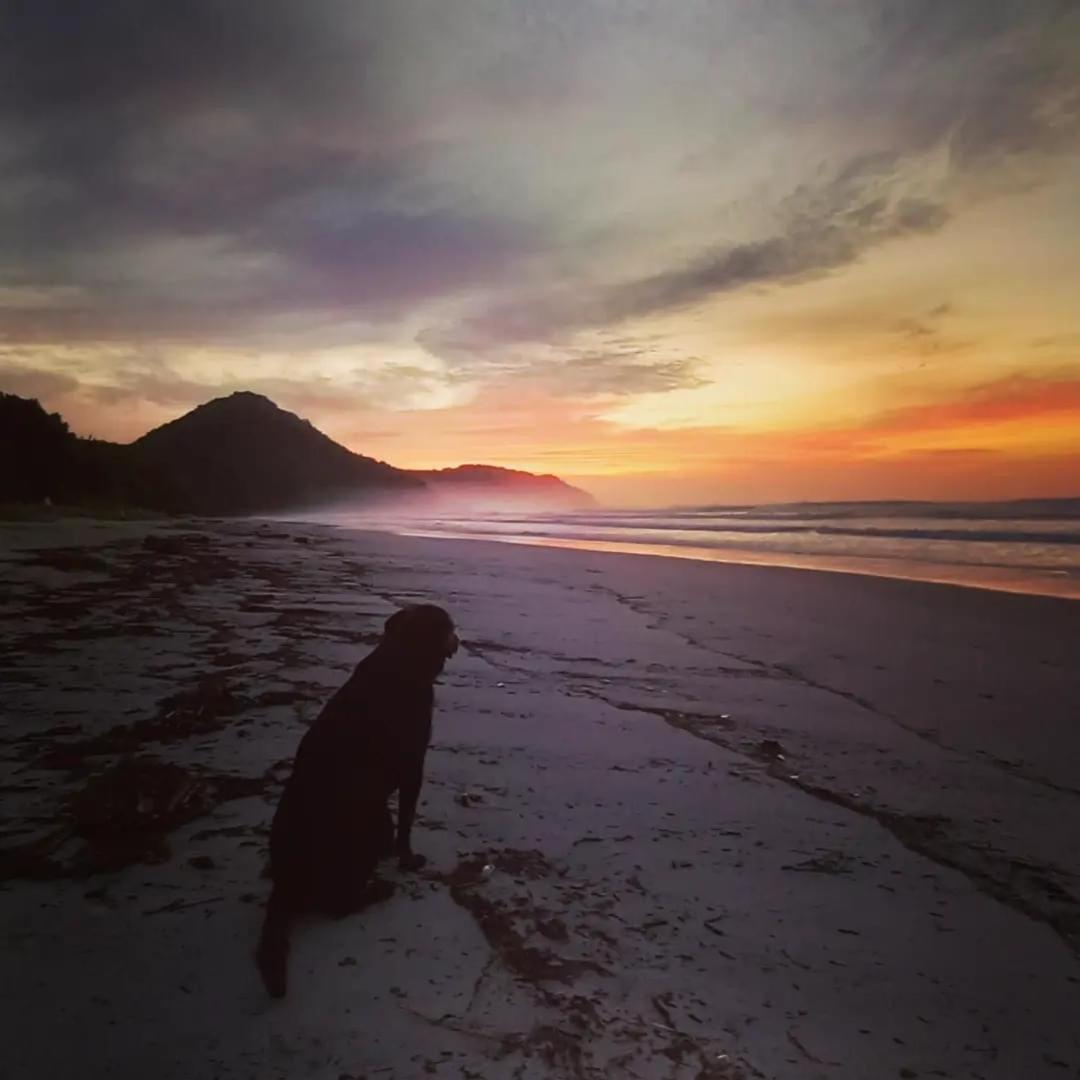 Praia De Itamambuca- Casa Charmosa E Iluminada Ubatuba Kültér fotó